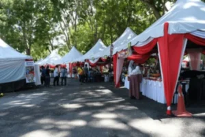 jasa sewa tenda profesional