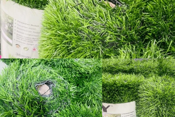 suplier rumput sintetis jogja murah